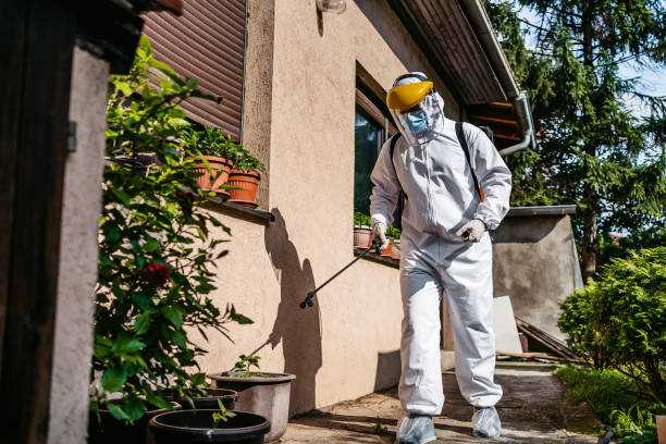 Best Wasp Removal Services  in Bridgeport, NE