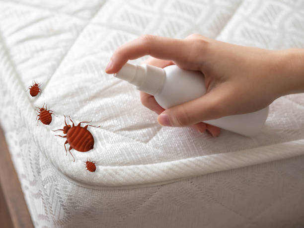 Best Pest Prevention Services  in Bridgeport, NE