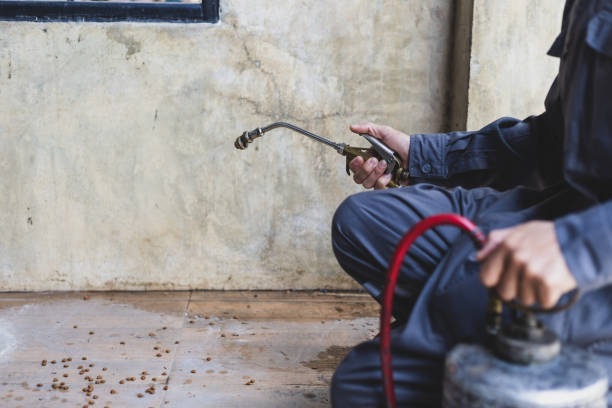 Best Wasp Removal Services  in Bridgeport, NE